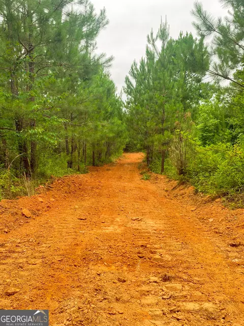 0 Bevis Rd, Franklin, GA 30217 photo 36