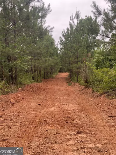 0 Bevis Rd, Franklin, GA 30217 photo 41