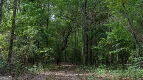 0 Cal Thomas Rd, Whigham, GA 39897 photo 16