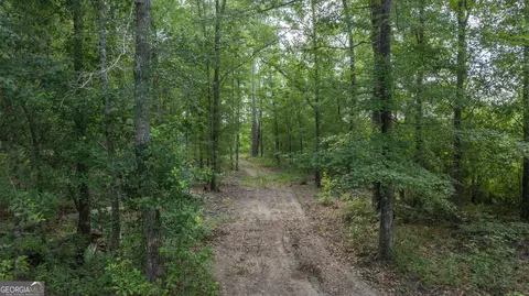 0 Cal Thomas Rd, Whigham, GA 39897 photo 4