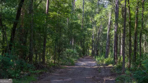 0 Cal Thomas Rd, Whigham, GA 39897 photo 11