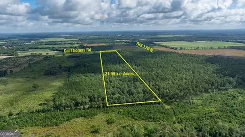 0 Cal Thomas Rd, Whigham, GA 39897 photo 19