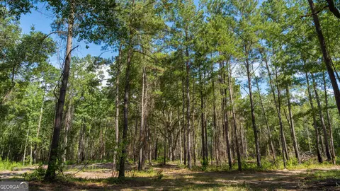 0 Cal Thomas Rd, Whigham, GA 39897 photo 9