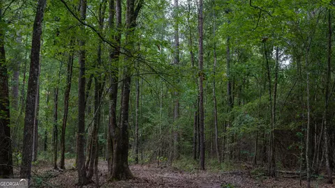 0 Cal Thomas Rd, Whigham, GA 39897 photo 15