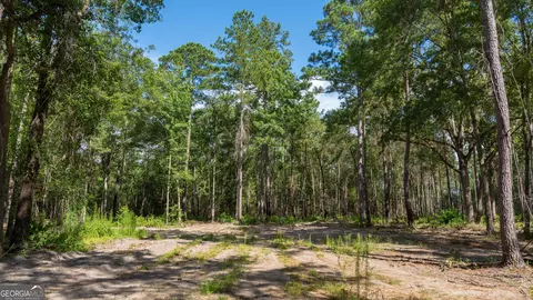 0 Cal Thomas Rd, Whigham, GA 39897 photo 8