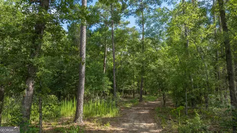 0 Cal Thomas Rd, Whigham, GA 39897 photo 5