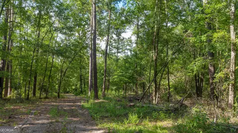0 Cal Thomas Rd, Whigham, GA 39897 photo 12