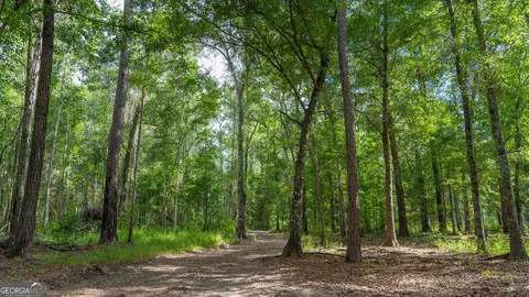 0 Cal Thomas Rd, Whigham, GA 39897