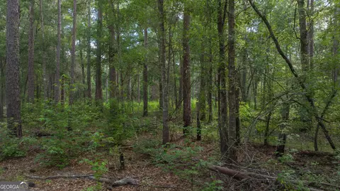 0 Cal Thomas Rd, Whigham, GA 39897 photo 10