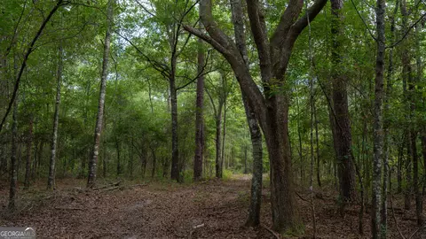 0 Cal Thomas Rd, Whigham, GA 39897 photo 17
