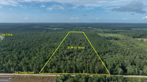 0 Cal Thomas Rd, Whigham, GA 39897 photo 3