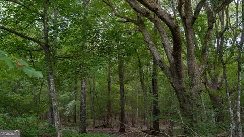 0 Cal Thomas Rd, Whigham, GA 39897 photo 18