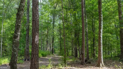 0 Cal Thomas Rd, Whigham, GA 39897 photo 13