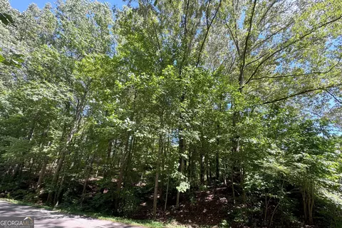 91 Remsdale St, Toccoa, GA 30577