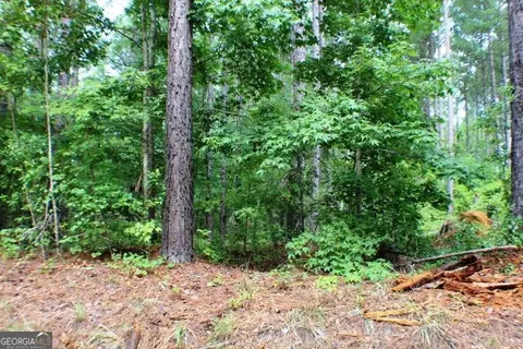 0 New Evergreen Church Rd, Rentz, GA 31075