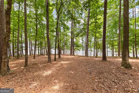 119 Riverbluff Dr, Lagrange, GA 30240 photo 108