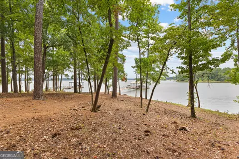 119 Riverbluff Dr, Lagrange, GA 30240 photo 112