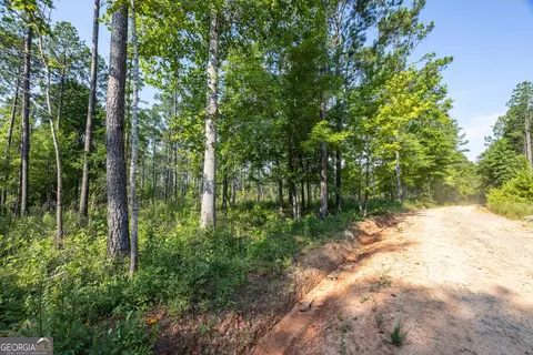 2 Georgia 36, Waverly Hall, GA 31831