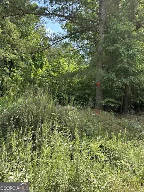 1557 Mcdonald Rd, Covington, GA 30014 photo 9