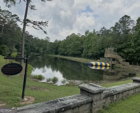 1557 Mcdonald Rd, Covington, GA 30014 photo 15