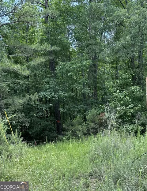 1557 Mcdonald Rd, Covington, GA 30014 photo 10