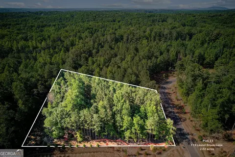 113 Laurel Brooke Ln #LOT 11, Canton, GA 30115
