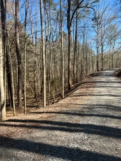 0 Monticello Dr #LT 2917, Ellijay, GA 30540