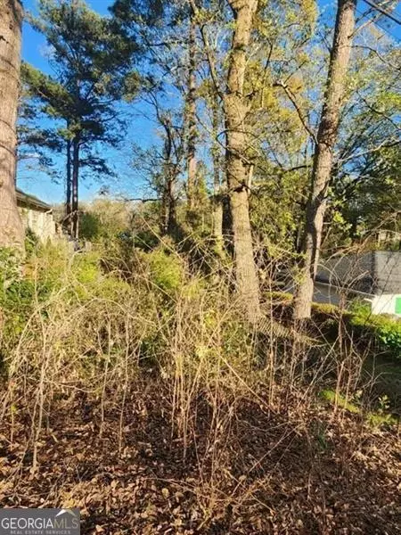 2130 Cavanaugh Ave, Atlanta, GA 30316