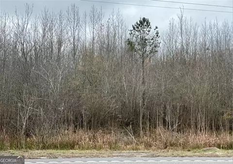0 Ga Highway 57, Townsend, GA 31331