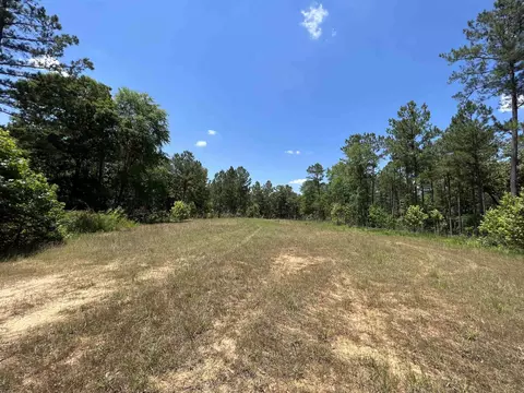 252 Rum Creek Pass, Juliette, GA 31046