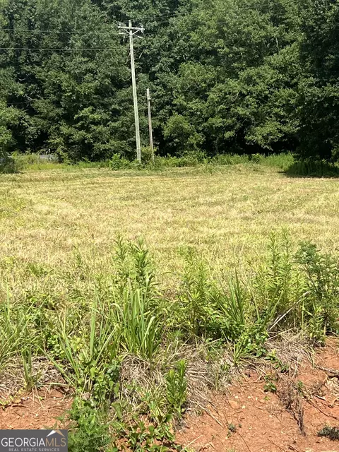 65 Farmer Ln, Carnesville, GA 30521