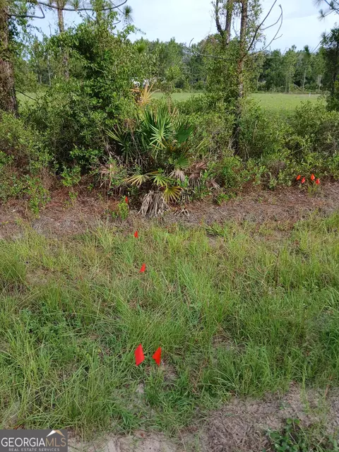 lot C Of Blk 1 Boulevard St, Folkston, GA 31537