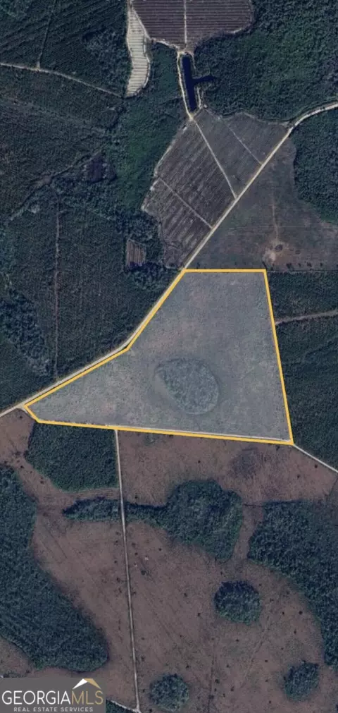 0 Hinson Rd, Homerville, GA 31634