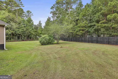 800 Kaelyn Ct, Hampton, GA 30228 photo 48
