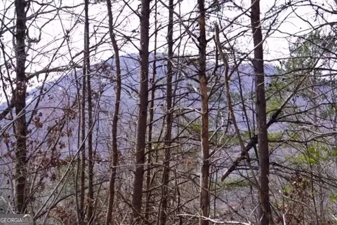 lot Apt 21 Moon Cir, Sautee Nacoochee, GA 30571
