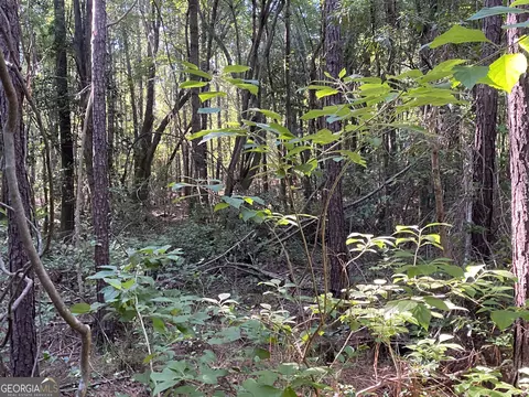 lot40 41 Pebble Hills Rd, Cochran, GA 31014
