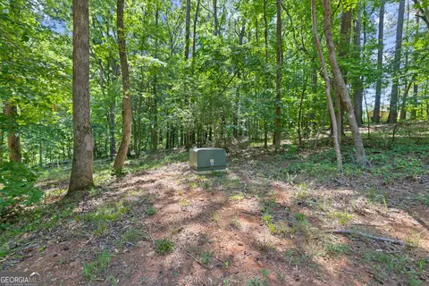 0 Cheek Rd, Monroe, GA 30656 photo 6