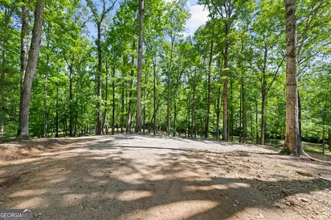 0 Cheek Rd, Monroe, GA 30656 photo 4