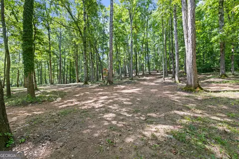 0 Cheek Rd, Monroe, GA 30656 photo 5