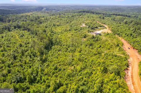0 Highway 78 #TRACT 2, Muscadine, AL 36262