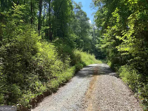 0 Dickerson Dr #18192021, Ellijay, GA 30536