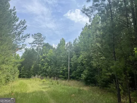 110 Canter Way, Forsyth, GA 31029 photo 27