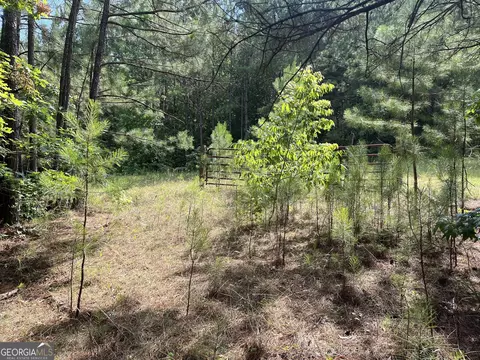 110 Canter Way, Forsyth, GA 31029 photo 17