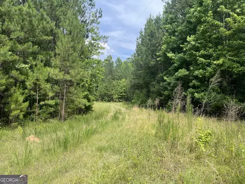 110 Canter Way, Forsyth, GA 31029 photo 25