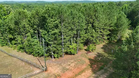 110 Canter Way, Forsyth, GA 31029 photo 9