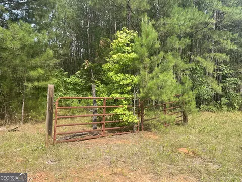 110 Canter Way, Forsyth, GA 31029 photo 20