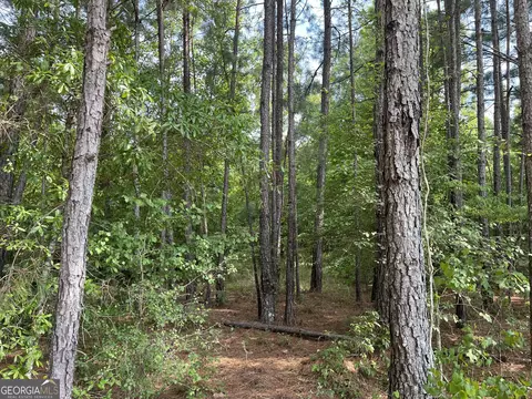 110 Canter Way, Forsyth, GA 31029 photo 14