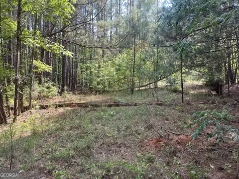110 Canter Way, Forsyth, GA 31029 photo 13