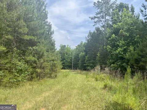 110 Canter Way, Forsyth, GA 31029 photo 26