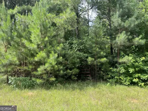 110 Canter Way, Forsyth, GA 31029 photo 23